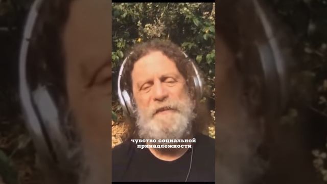 Роберт Сапольски. О важности социальных связей.