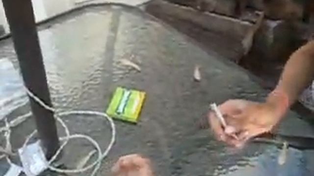 Cocain (coke) Health Video смотреть онлайн