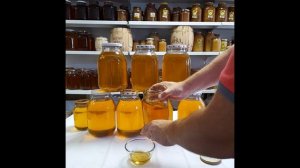 Мед Акация 2024 г.