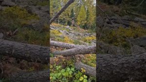 Давайте наведем  порядок вместе! Помоги себе Сам! Урок 84