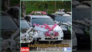 Бехтарин суруди туёна бадридин завки.обуна шавен лайкро дарег надорен бародаро