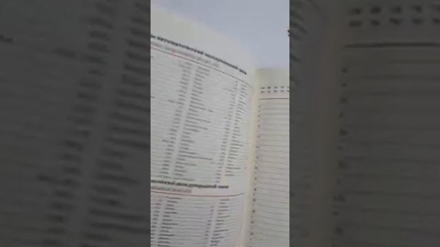 Ежедневник в подарочном исполнении ручной работы "Дирижабль"