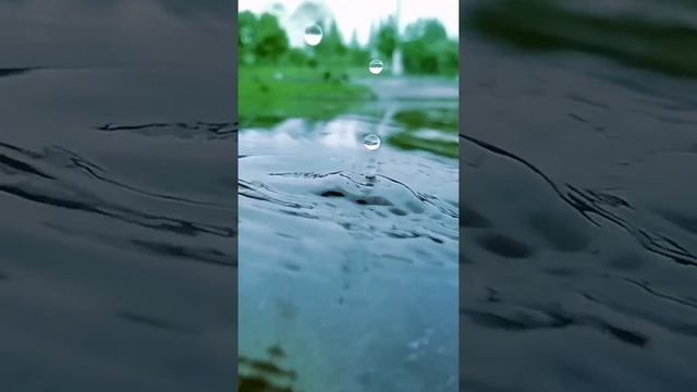 A Drop Of Water | Water Sound #water #explorenature #beautiful #nature #beauty #sound #natural #goo смотреть онлайн