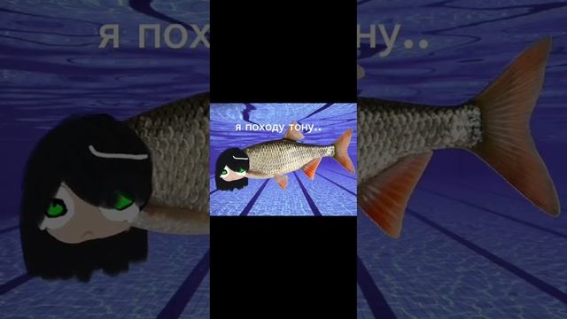 инфузория не любит воду #мем #бумажноеобразование #memes #video #roblox #инфузориятуфелька