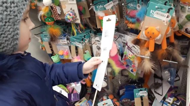 Идем покупать игрушки для котов. 1-я серия смотреть онлайн