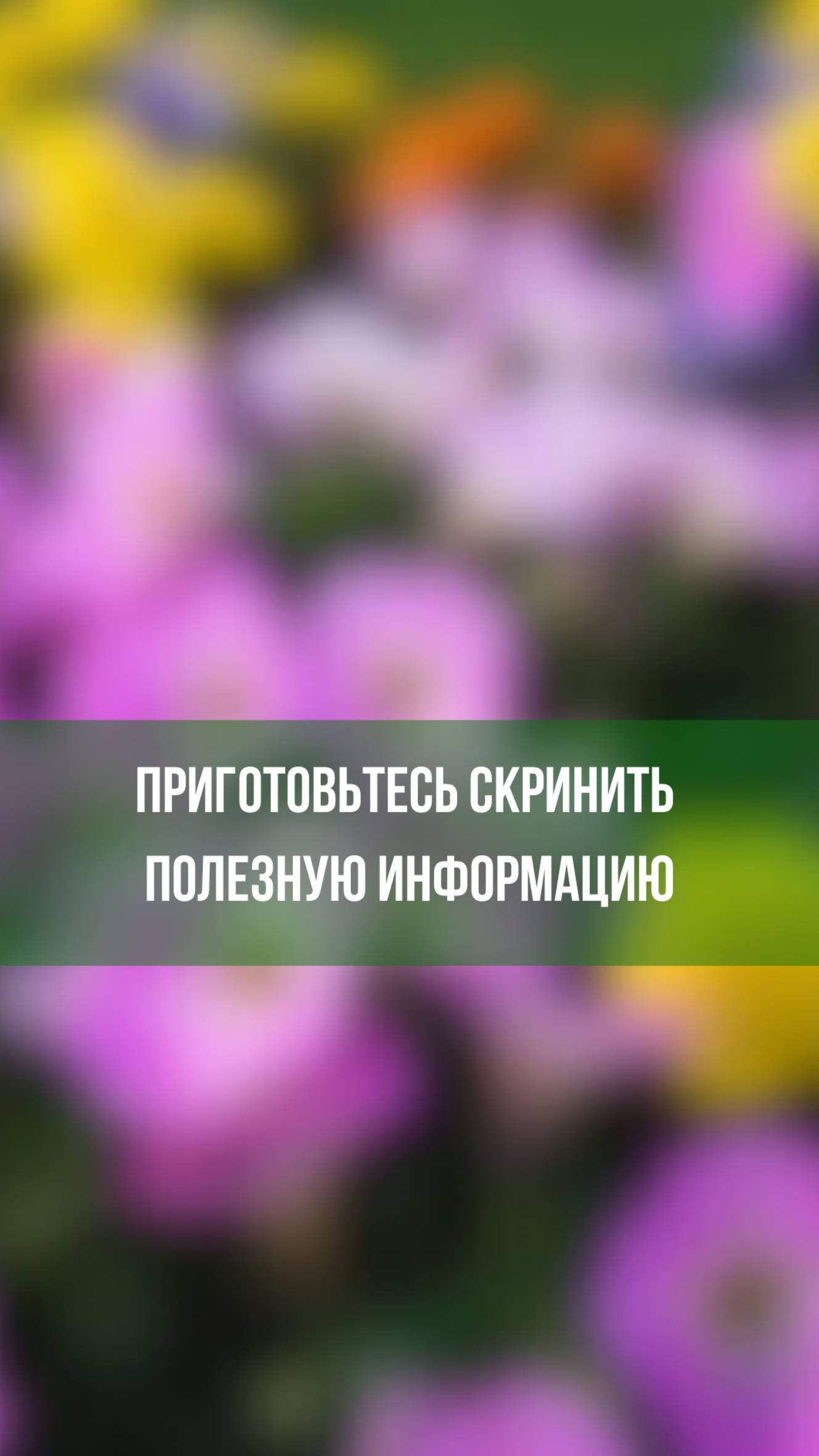 Приготовьтесь скринить полезную информацию!