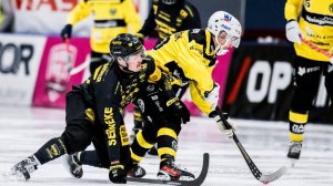 «Gripen BK»-«BrobergSöderhamn» 20 Nov Elitserien 2024-25