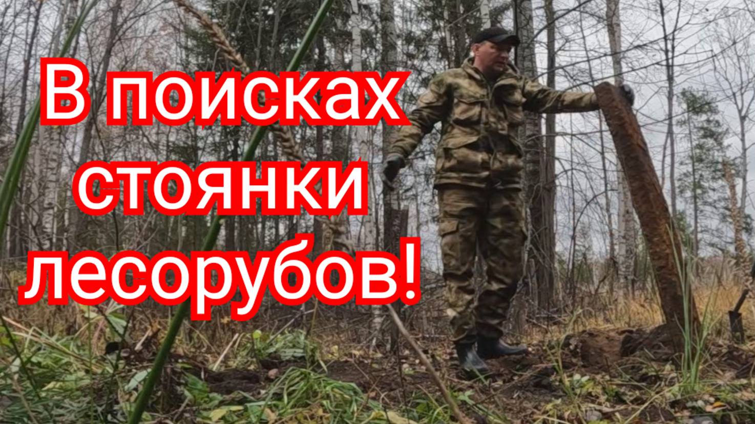 Металлокоп. Катаемся по лесу, ищем старые стоянки лесорубов!!!