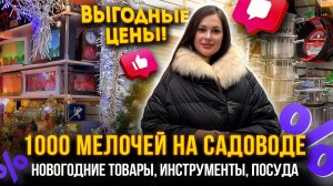 1000 МЕЛОЧЕЙ НА САДОВОДЕ😍 Новогодние товары, инструменты, посуда 👍 Линия 9 Рынок Садовод Москва
