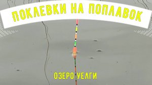 Поклевки карася на поплавок. Рыбалка на поплавок. Озеро Уелги