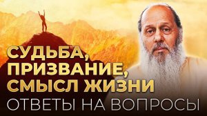 Судьба, призвание, смысл жизни. Ответы на вопросы.