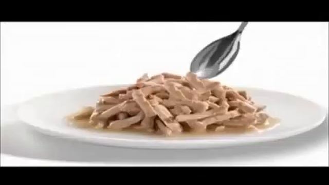 Comercial Filetes Felix de Purina - México смотреть онлайн