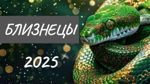 БЛИЗНЕЦЫ ♊ ТАРО-ПРОГНОЗ НА 2025 ГОД