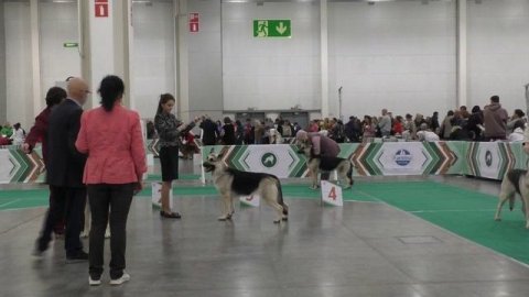 Сравнение на ЛС