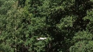 Полет на квадрокоптере hubsan h501s в лесу