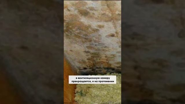 Завод мембраны в водосток #строим #строительство #строительстводома #строительстводома смотреть онлайн