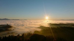 Если бы вы уповали на Аллаха должным образом || Шейх ибн Усеймин (رحمه الله)