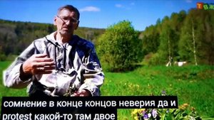 Основные проблемы со  здоровьем от  травника  Гордеева М.В.