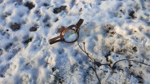 Подробнее о ночном визите лисы 🦊 к моим гусям 🪿