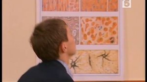 Старшеклассники, серия № 75