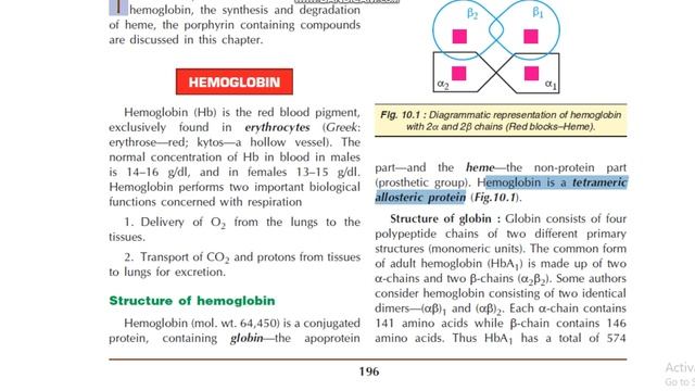 Hemoglobin Structure , Function & Normal values | Types of Hemoglobin | Heme structure DMLT RPMC
