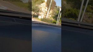 Израиль. Самария. прогулка по моему поселку