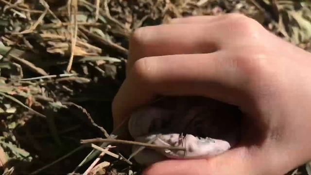 Челлендж слайм с грязью(читайте описание) смотреть онлайн