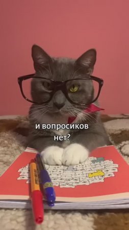 Типичный учитель 😺