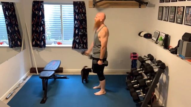 Dig Deeper No Excuses: Shoulders, Bis & Tris смотреть онлайн