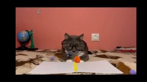Если бы котики ходили в школу - новый учитель Географии