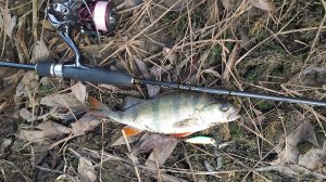 Десна, у мостов 13 ноября 2024 года