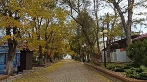 Прогуляемся на море Ветер в спину #Евпатория #шторм