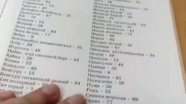 День сурка. Центральная библиотека Калининского района. Рубрика "Читаем энциклопедию детям" смотреть онлайн