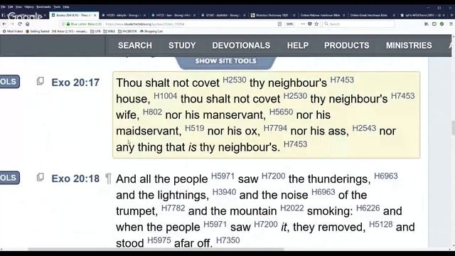 THE COVENANTS!! смотреть онлайн