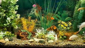 Аквариум 130 литров. Кормление рыбок 🐟 🐟 🐟