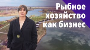 Как рыбхоз в Северском районе стал популярным местом отдыха. БОСС ЕСТЬ ВОПРОС