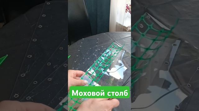 Тотем из сетки и пластика. Внутри мох. #комнатныерастения #тотем #опорадлярастений