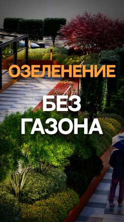 Озеленение без газона
#ландшафт #втб  #озеленение #городскоеозеленение #тренд2025 #растения #динамо