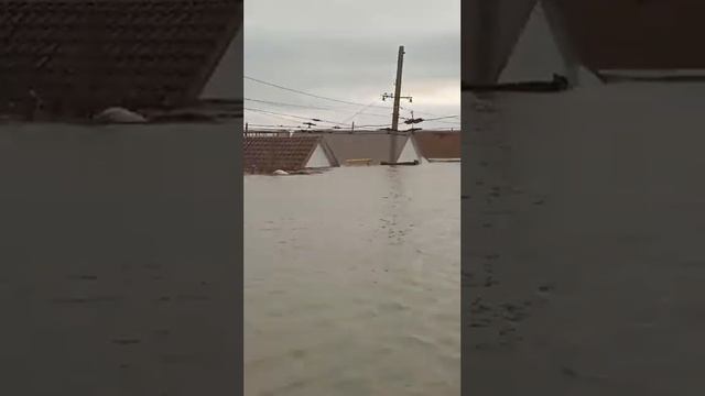 Оренбург и Орск уходят под воду. Ужасный потоп #орск #оренбург #top #youtube #russia #viral #mrbeas смотреть онлайн