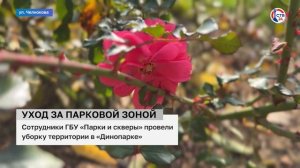 Сотрудники ГБУ «Парки и скверы» провели уборку в «Динопарке» (Дежурный по городу. 21 ноября 2024)