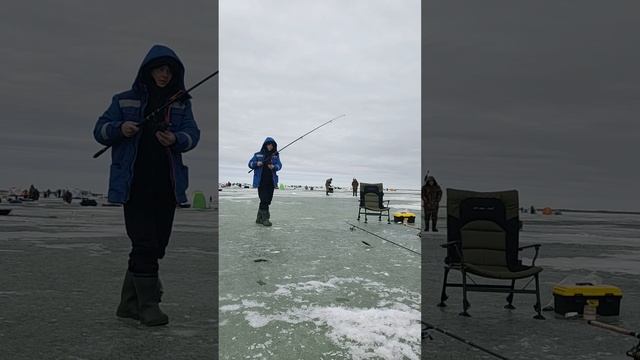 Летняя удочка на льду #icefishing #рыбалка #ловлякарася
