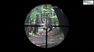 Leupold VX-R 1.25-4x24 HOG reticle Pig Plex subtensions