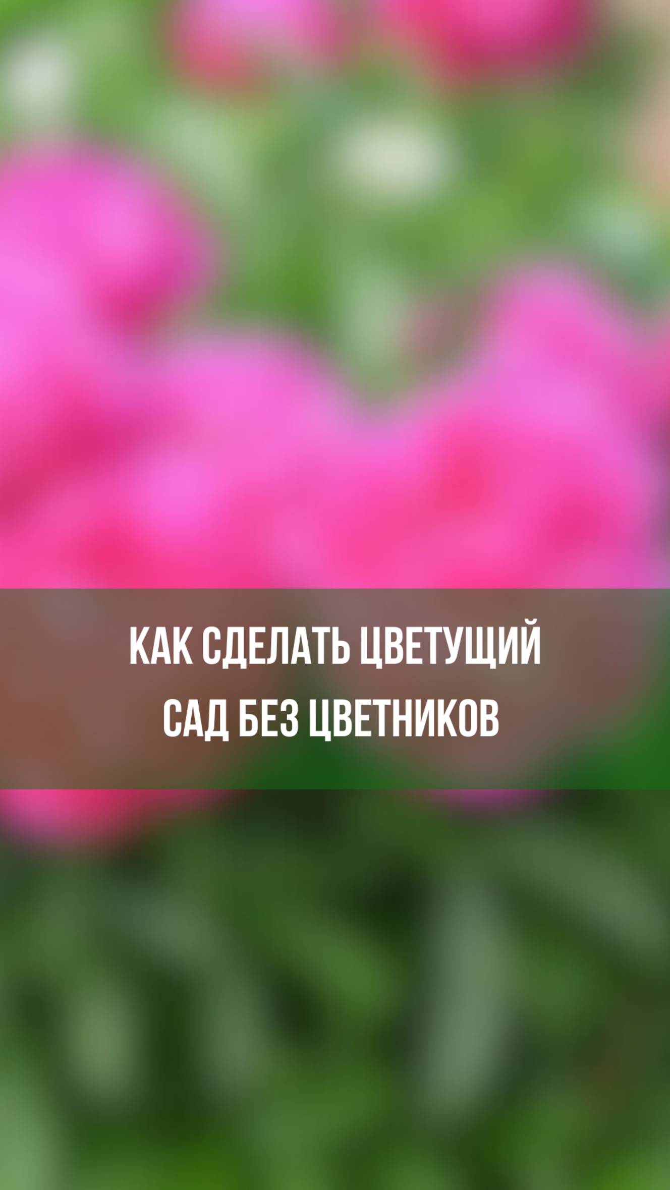 Как сделать цветущий сад без цветников?