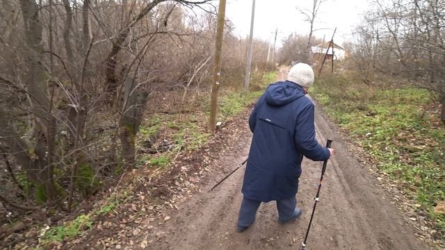 Прогулка в лог, экотропа Ивинская. 28 окт 2024 смотреть онлайн