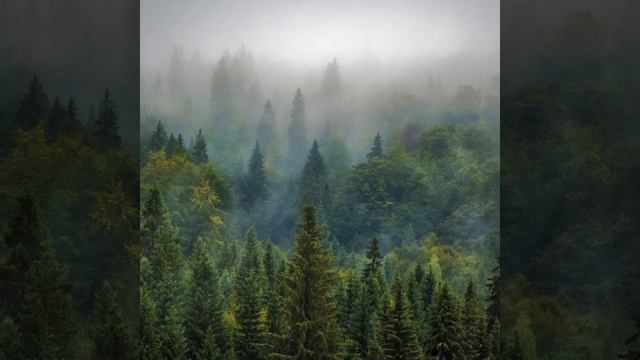 Релакс музыкы, музыка для спорта, музыка для учебы.