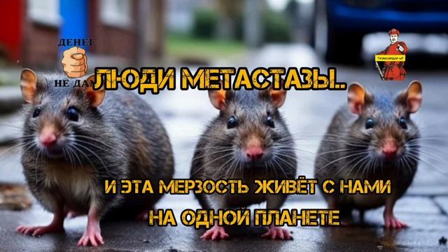 ЛЮДИ МЕТАСТАЗЫ