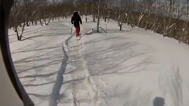 AMR 2012-2013 vol.007 смотреть онлайн