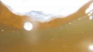 тест go pro 6 под водой