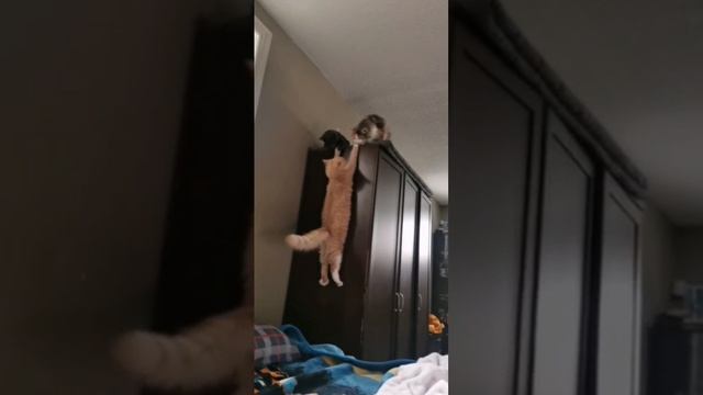 Взаимовыручка и поддержка