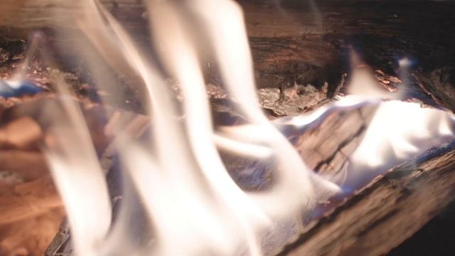 [4K] 조용한 숲속에서 불멍캠핑 l 쉘터G l 겨울캠핑 l 힐링캠핑